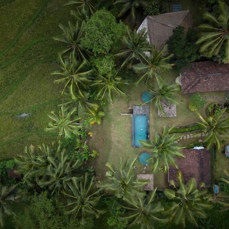 Green Sari Private Villa Ubud Eksteriør billede