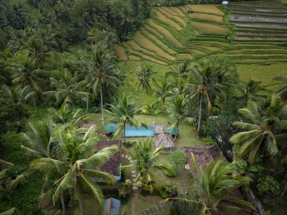 Green Sari Private Villa Ubud Eksteriør billede